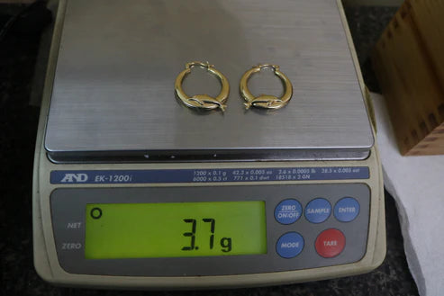 14k Yellow Gold Dolphin Hoop Earring