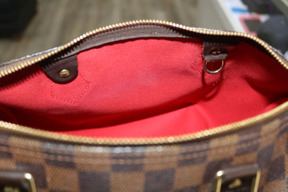 Louis Vuitton Damier Ebene Speedy 25 Bag