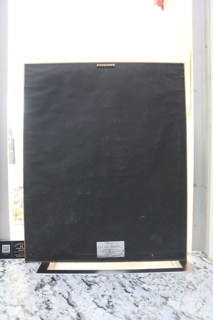 D12 Devil’s Night RIAA Platinum Album Award (Local Purchase Only)