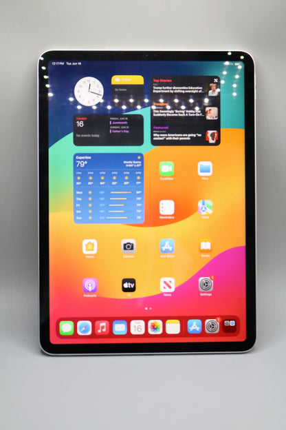 Apple A2228 iPad Pro (2nd Generation) 128 GB 11 Inch