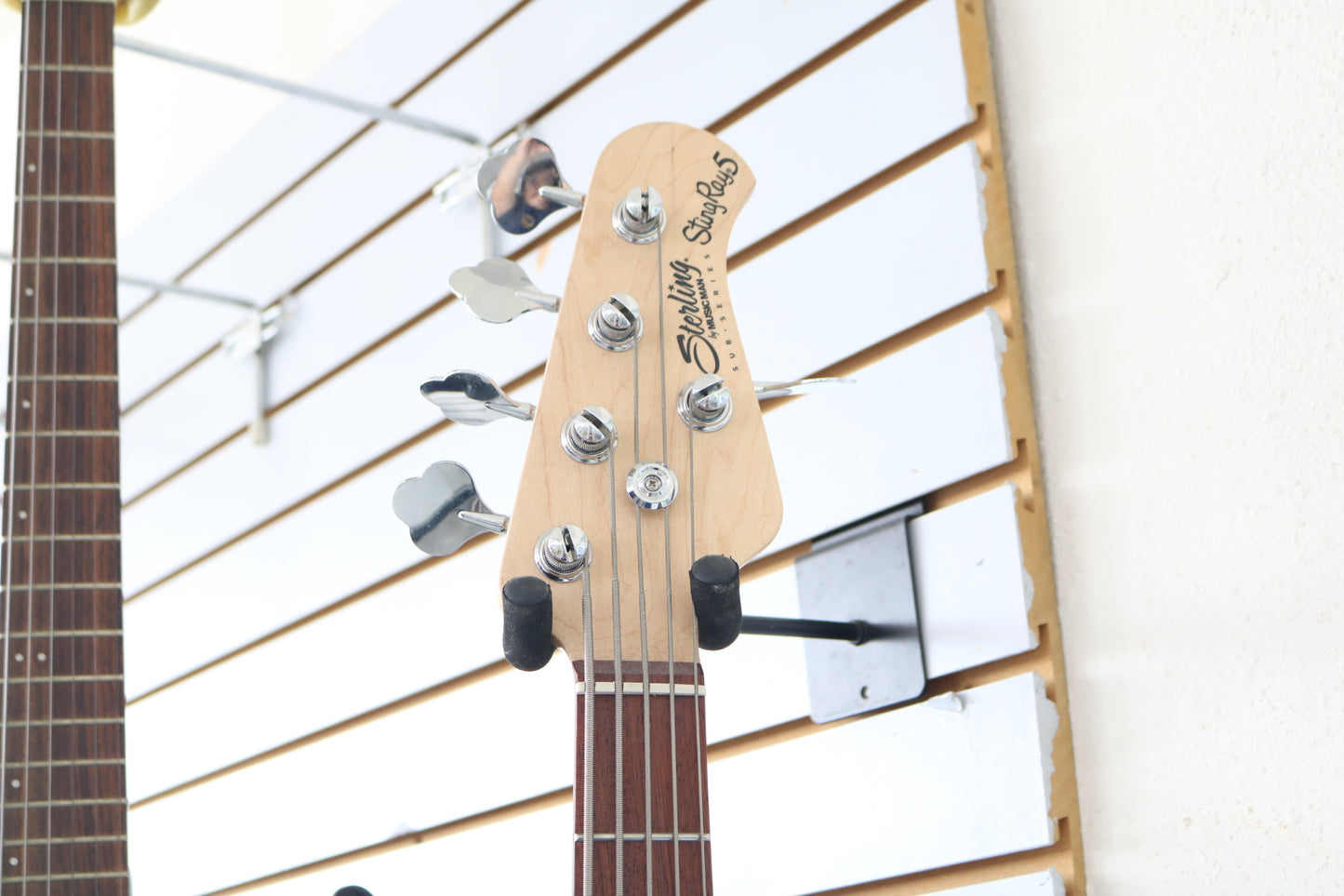 Sterling by Music Man StingRay Ray5 5-String Bass Guitar (No Shipping)