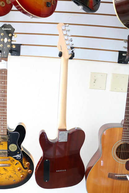 Michael Kelly 58 Thinline Semi-Hollow Spalted Maple Electric Guitar (No Shipping)