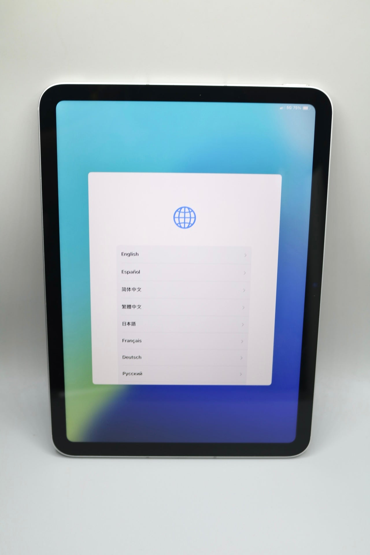 Apple iPad A2757 with Apple Pen A3085