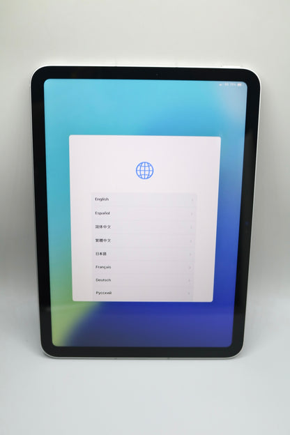 Apple iPad A2757 with Apple Pen A3085