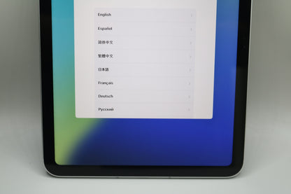 Apple iPad A2757 with Apple Pen A3085