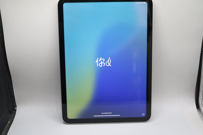 Apple iPad A2757 with Apple Pen A3085