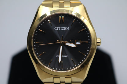 Citizen Men's Eco-Drive Gold Watch 40mm E111-A14K703