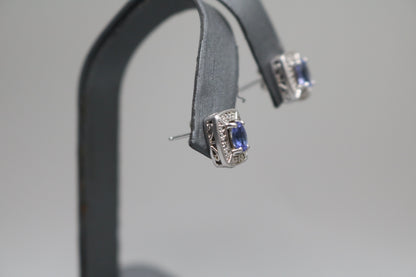 Silver Rectangular Earrings with Indigo Stones