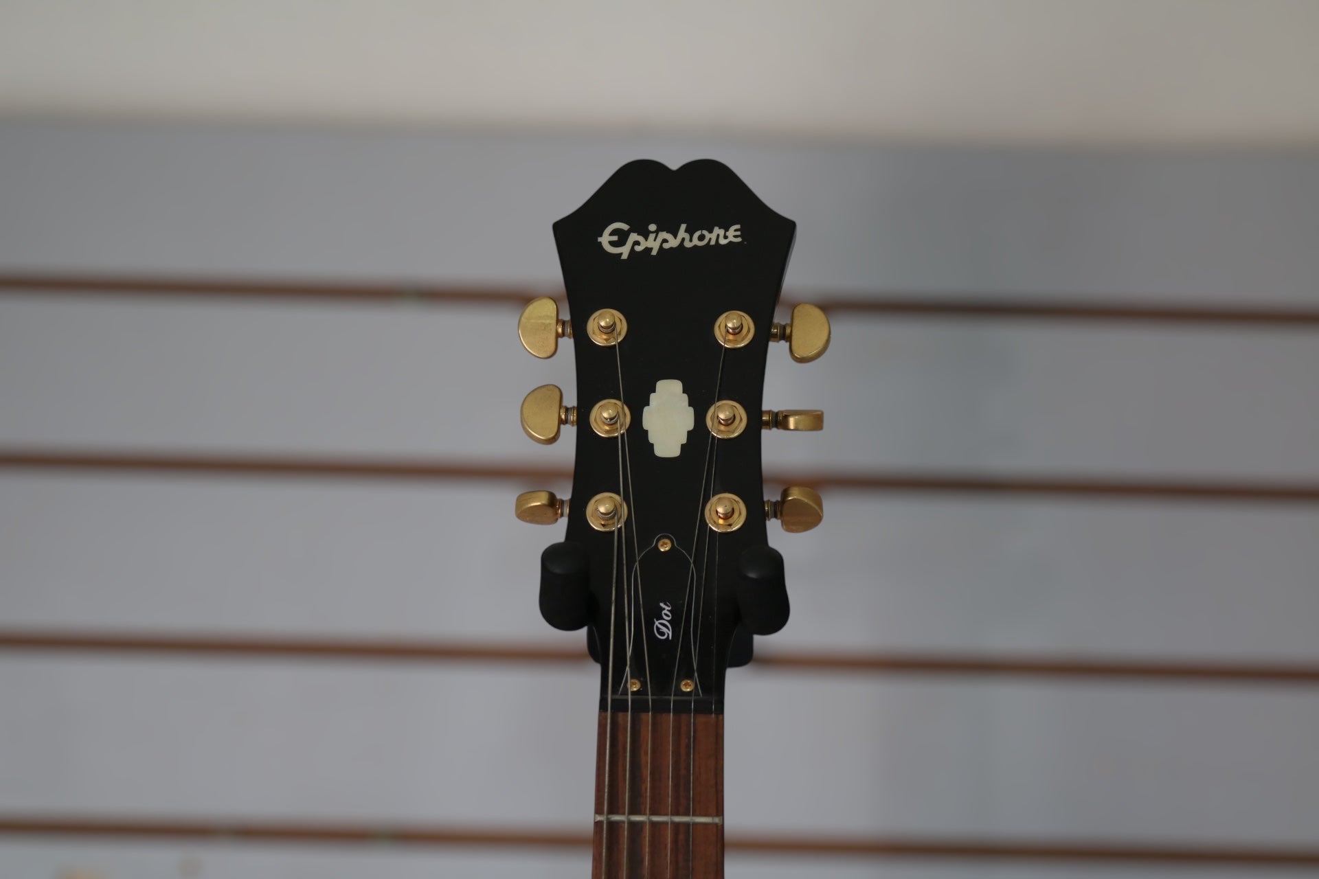 Epiphone Dot Deluxe VS Limited Edition Custom Shop Electric
